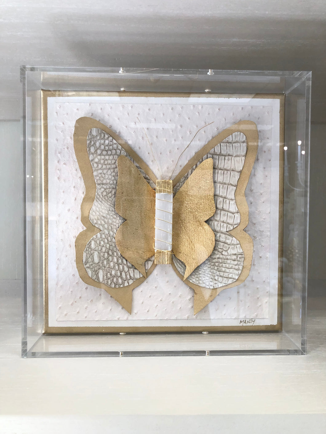 Selenite Butterfly in Acrylic Shadowbox 12x12