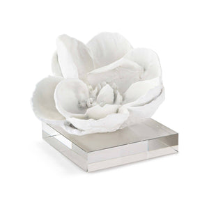 White Magnolia Objet