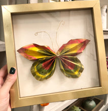 Load image into Gallery viewer, Paper Butterfly Shadowbox
