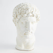 Load image into Gallery viewer, Stern Bust
