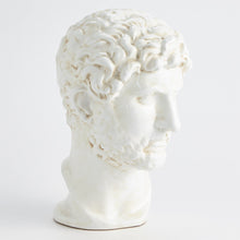 Load image into Gallery viewer, Stern Bust
