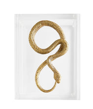 Load image into Gallery viewer, Serpent Acrylic Box
