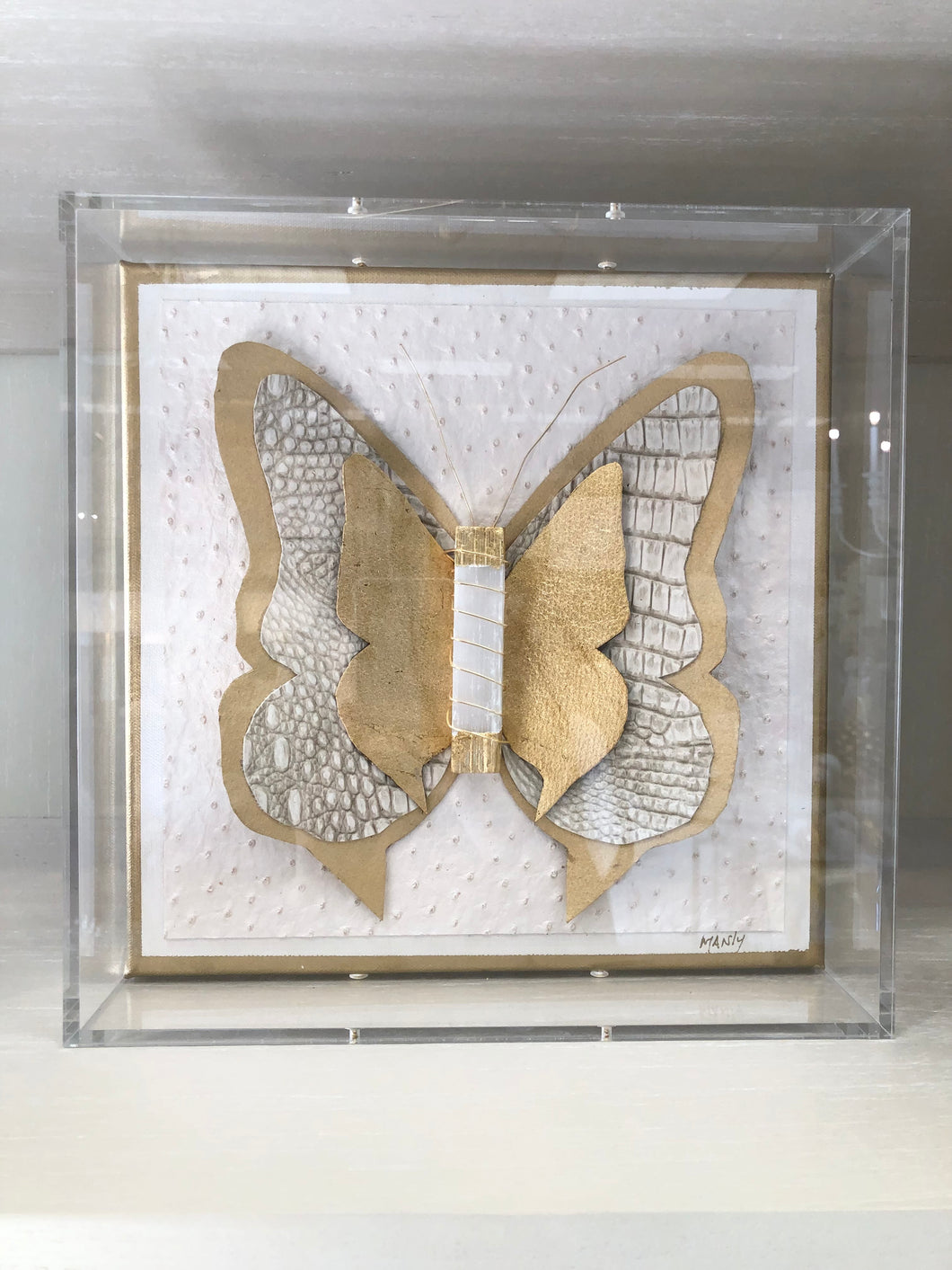 Selenite Butterfly in Shadowbox