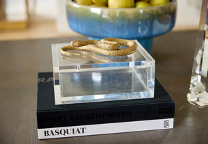 Serpent Acrylic Box