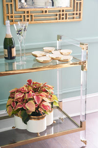 Featuring a sleek design, this bar cart boasts clear acrylic, clear tempered glass shelves, and polished brass finished iron edging. It is the perfect choice for all your essential entertaining needs.