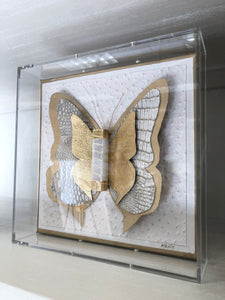 Selenite Butterfly in Shadowbox