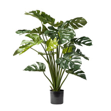 Load image into Gallery viewer, Monstera Plant, 4&#39;
