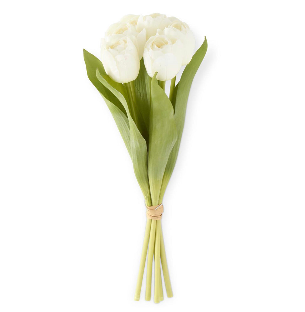 Unfurled Tulip Bunch in White