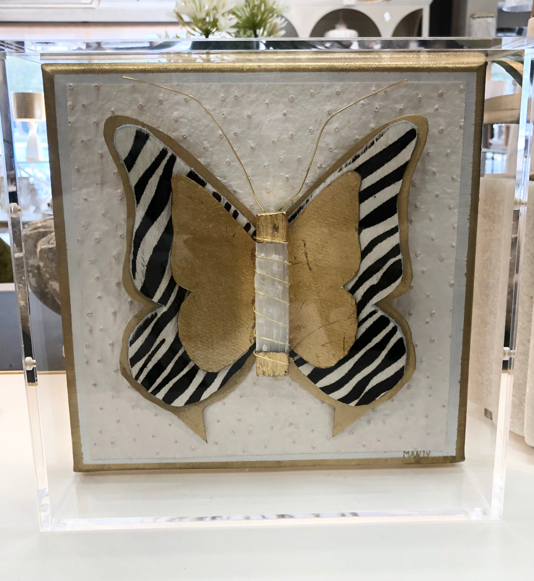 Selenite Butterfly in Shadowbox