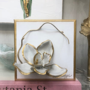 Orchid | 6x6