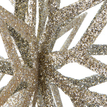 Load image into Gallery viewer, 16&quot; Champagne Iridescent Star
