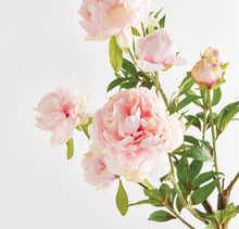 Load image into Gallery viewer, Preorder: Peony Branch, 31&quot;
