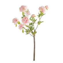 Load image into Gallery viewer, Preorder: Peony Branch, 31&quot;
