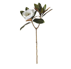 Magnolia Stem, 31"