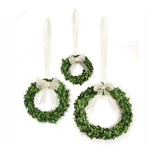 Load image into Gallery viewer, Boxwood Wreaths with Ribbons, Set of Three
