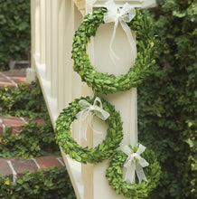 Load image into Gallery viewer, Boxwood Wreaths with Ribbons, Set of Three
