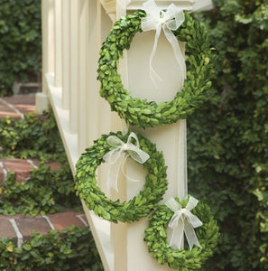 Boxwood Wreaths with Ribbons, Set of Three