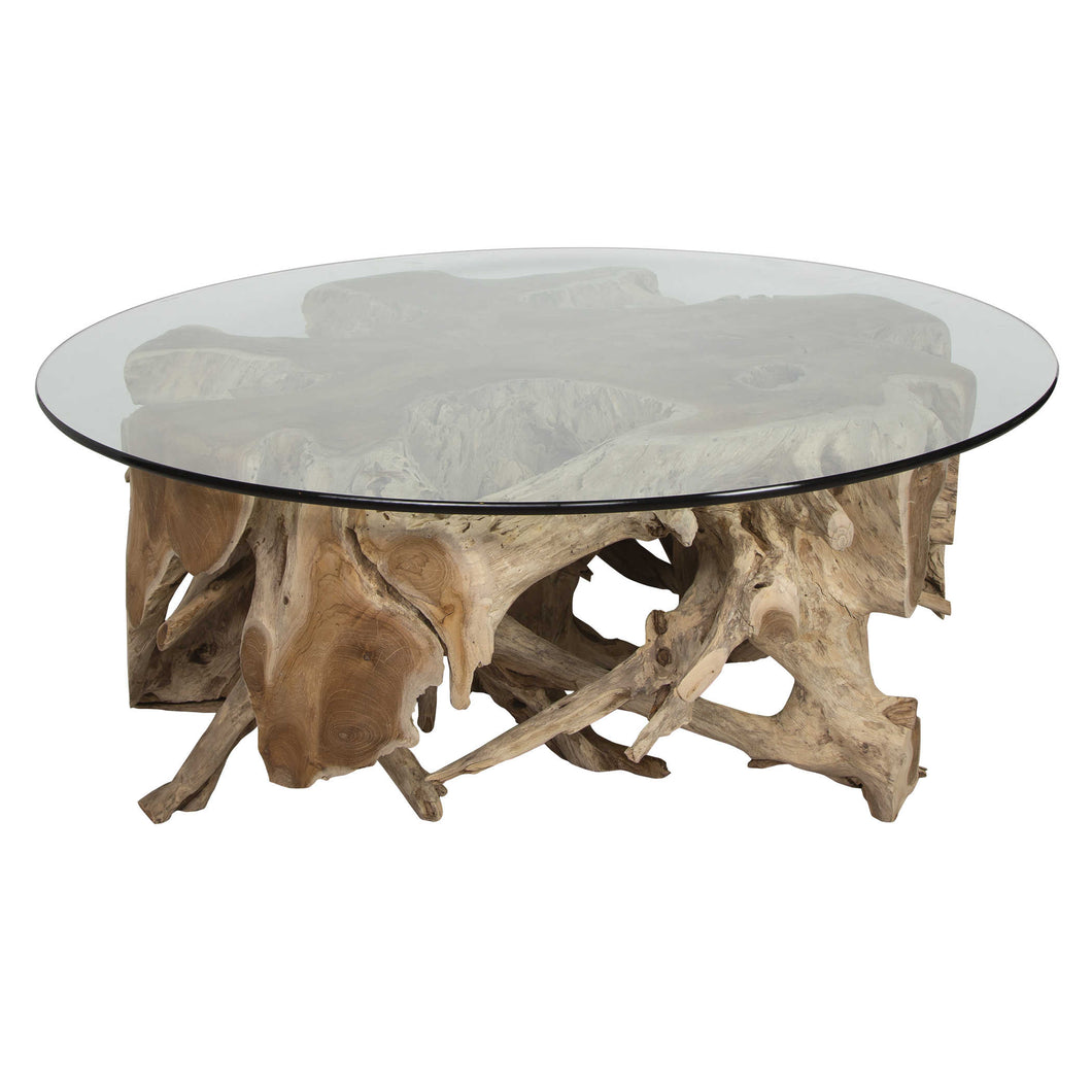 Teak Root Coffee Table